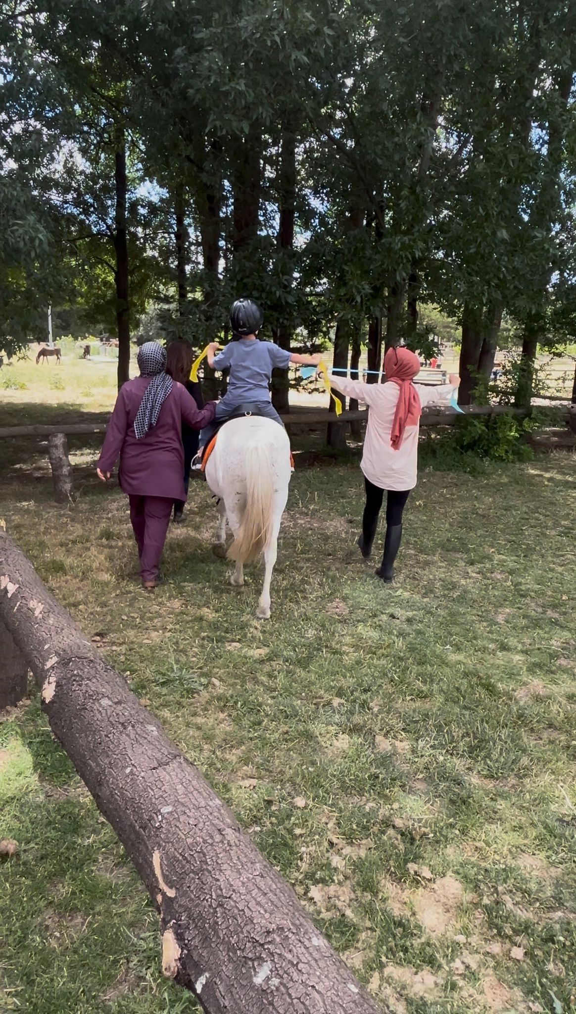 WhatsApp Image 2025-07-14 at 21.09.40.jpeg