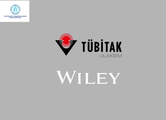 Wiley Ulakbim Logo