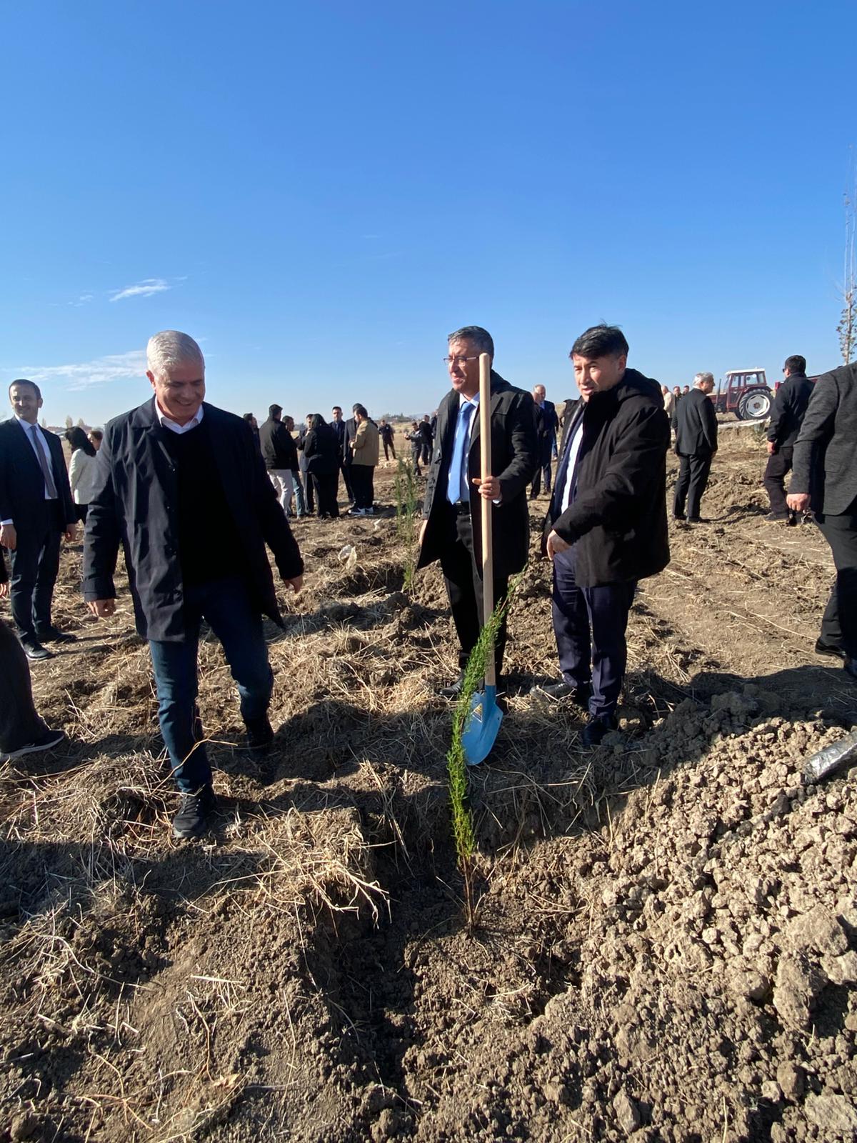 WhatsApp Image 2025-11-11 at 11.02.44.jpeg