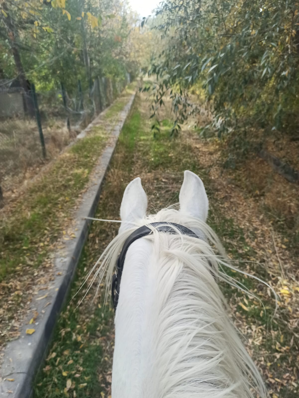 WhatsApp Image 2023-10-28 at 15.05.46.jpeg