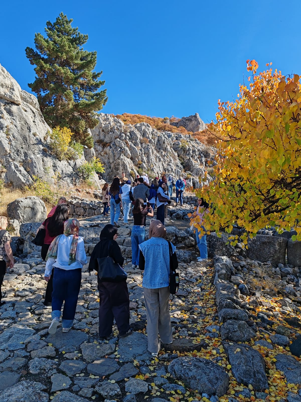 WhatsApp Görsel 2025-11-06 saat 12.52.20_2f774841.jpg