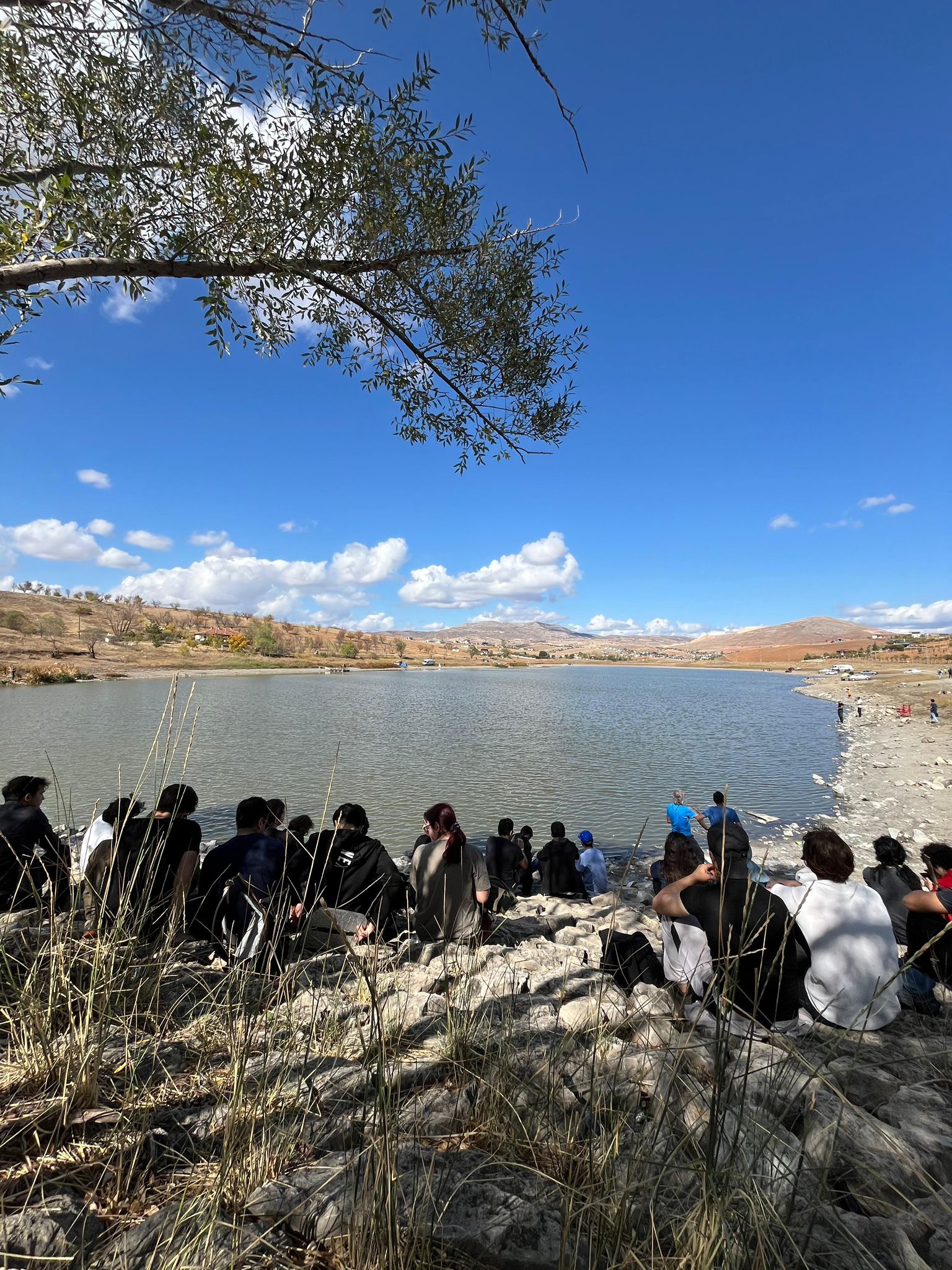 WhatsApp Image 2024-10-15 at 09.37.49 (1).jpeg