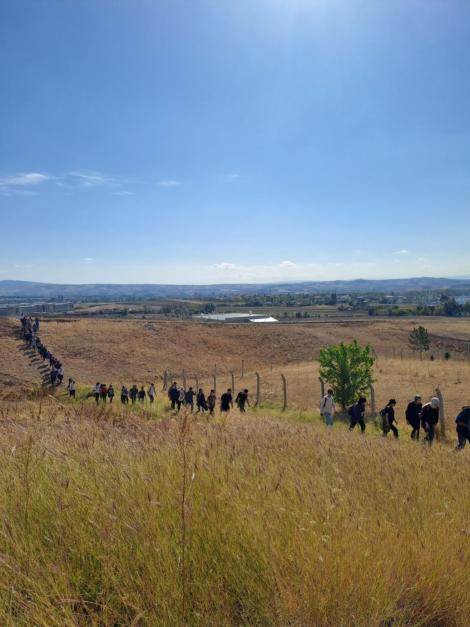 WhatsApp Image 2024-10-15 at 09.37.48.jpeg