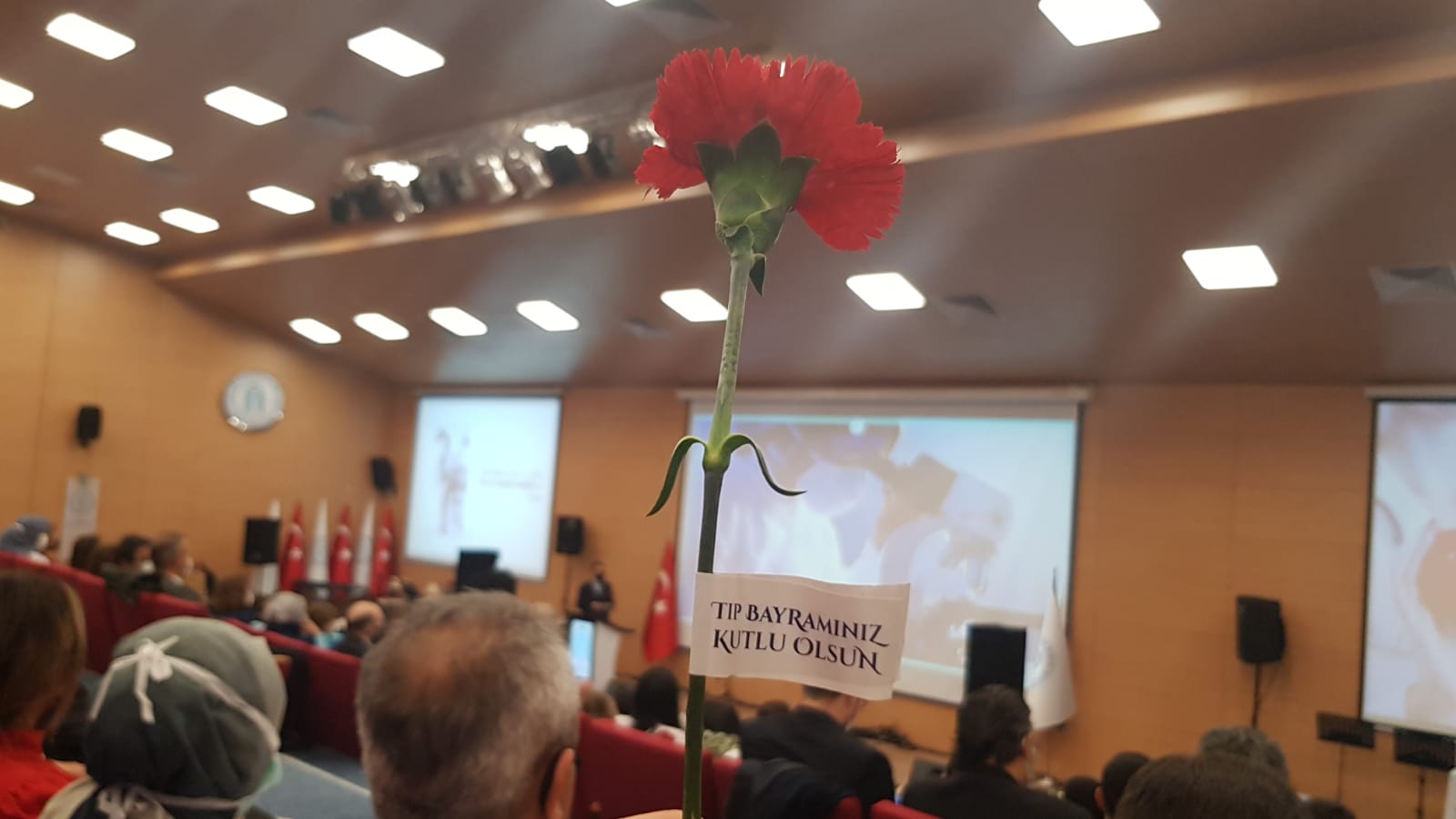 WhatsApp Image 2022-03-14 at 10.39.45.jpeg