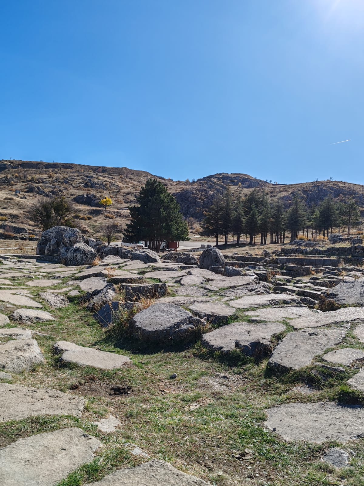 WhatsApp Görsel 2025-11-06 saat 12.53.25_603d8da4.jpg