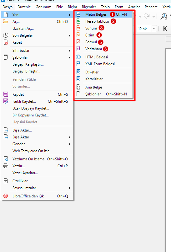 LibreOffice seçenekler