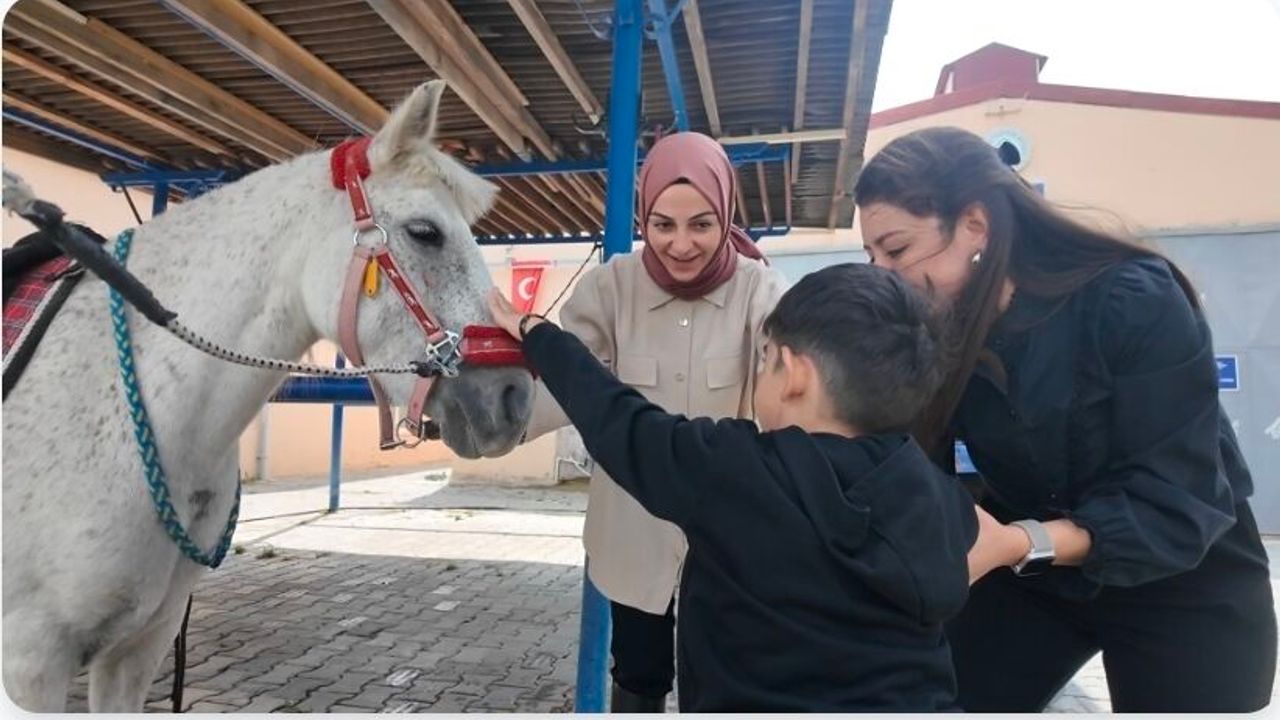 Atların ritmiyle yaşam kalitesi nasıl destekleniyor! Sorumluluk bilincini ve duyarlılığı güçlendiriyor! 20 hastayla bilimsel olarak incelendi! görseli