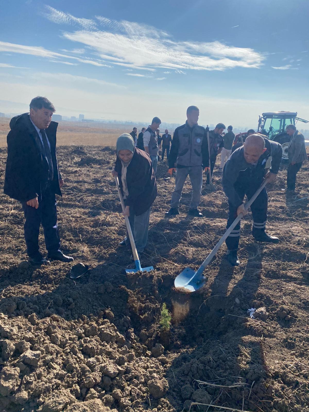 WhatsApp Image 2025-11-11 at 11.02.53.jpeg