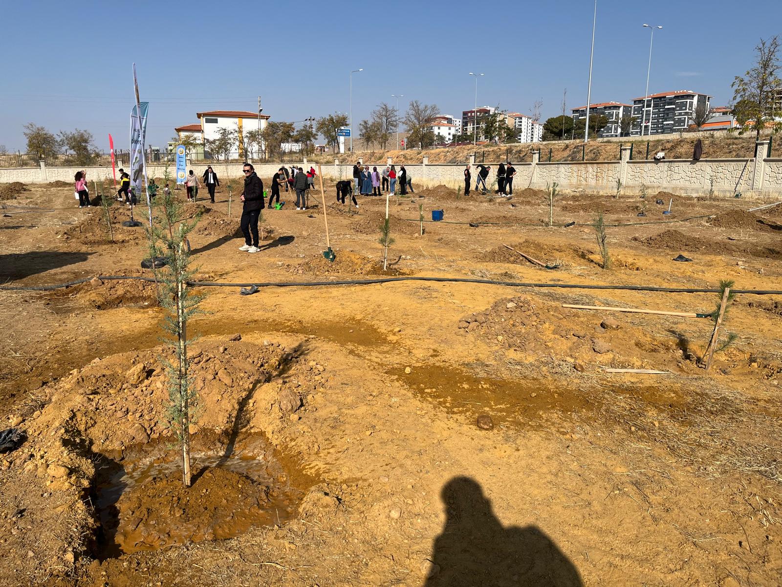 WhatsApp Image 2025-11-11 at 11.49.58 (6).jpeg