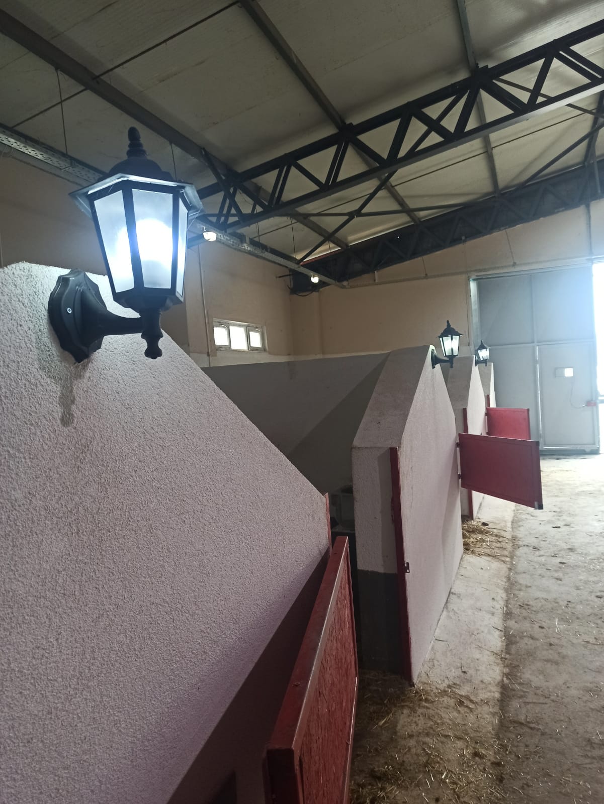 ATLARIN SAĞLIĞI İÇİN AYDINLATMA SİSTEMİ TAKILDI