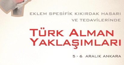 EKLEM SPESİFİK KIKIRDAK HASARI VE TEDAVİLERİNDE TÜRK ALMAN YAKLAŞIMLARI ÇALIŞTAYI