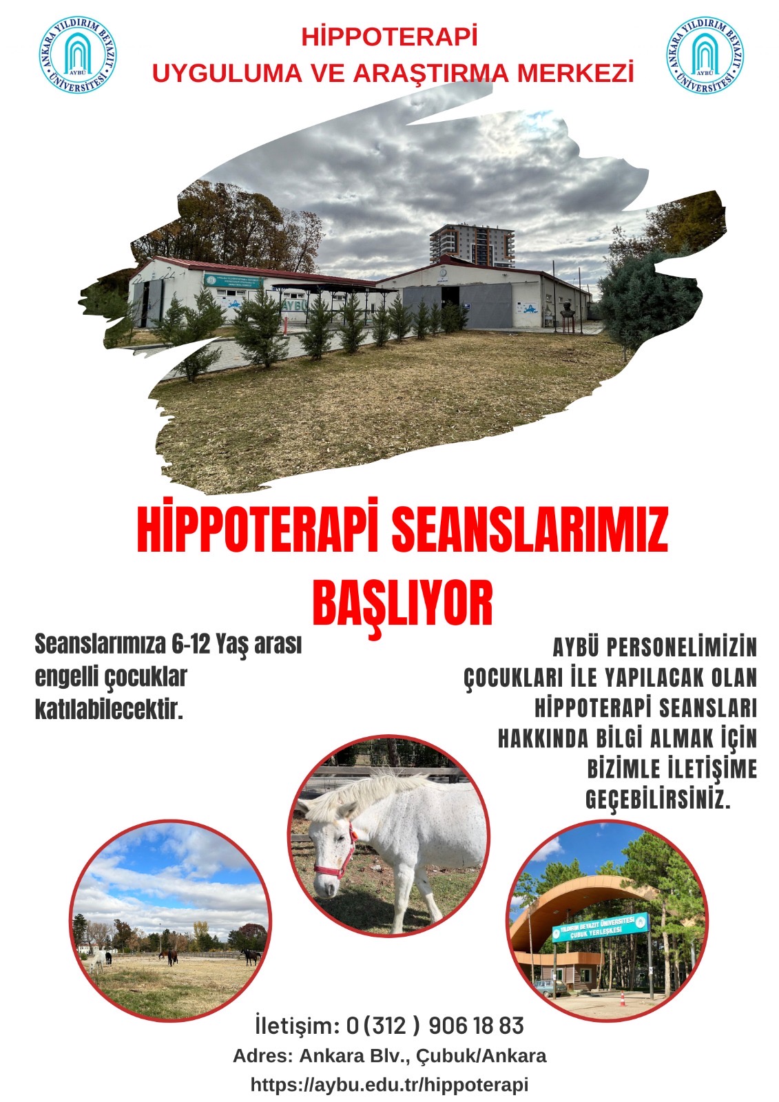 Hippoterapi Seanslarımız Başlıyor