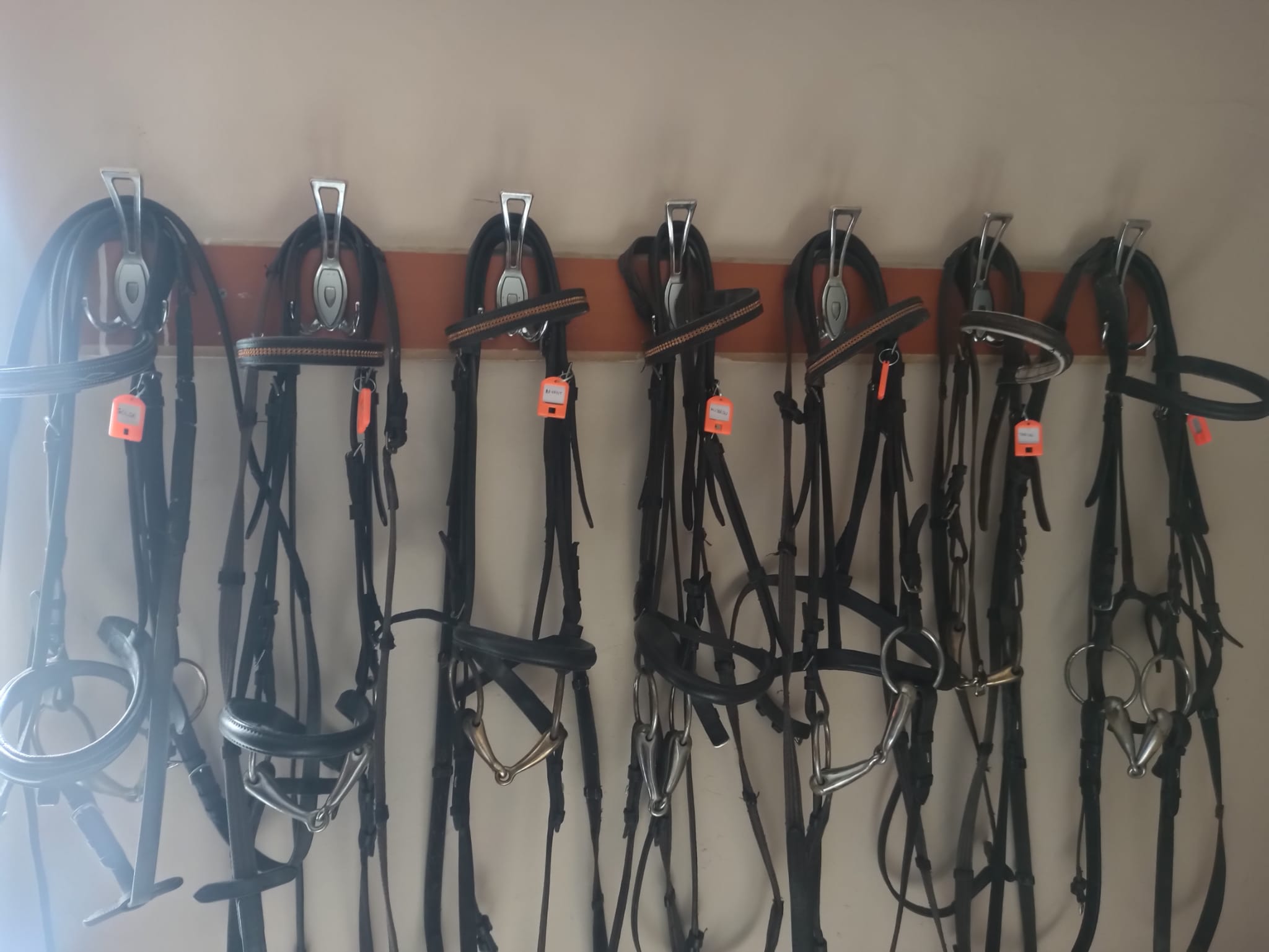 EĞİTİMDE KULLANDIĞIMIZ ATLARIMIZIN BAŞLIKLARINA İSİMLİK TAKILDI