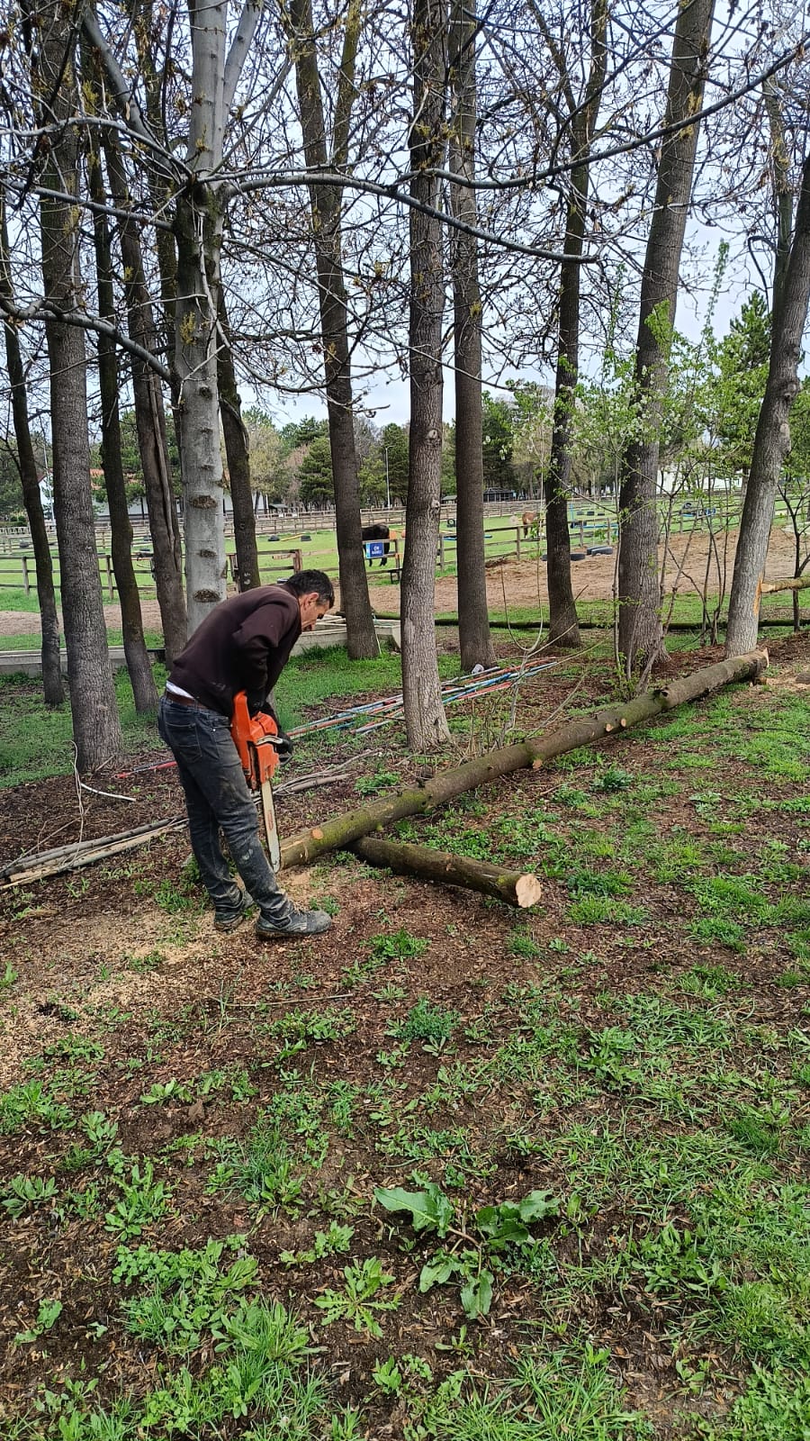 Atlarımızın Sağlığı ve Refahı İçin Padok Yapımı