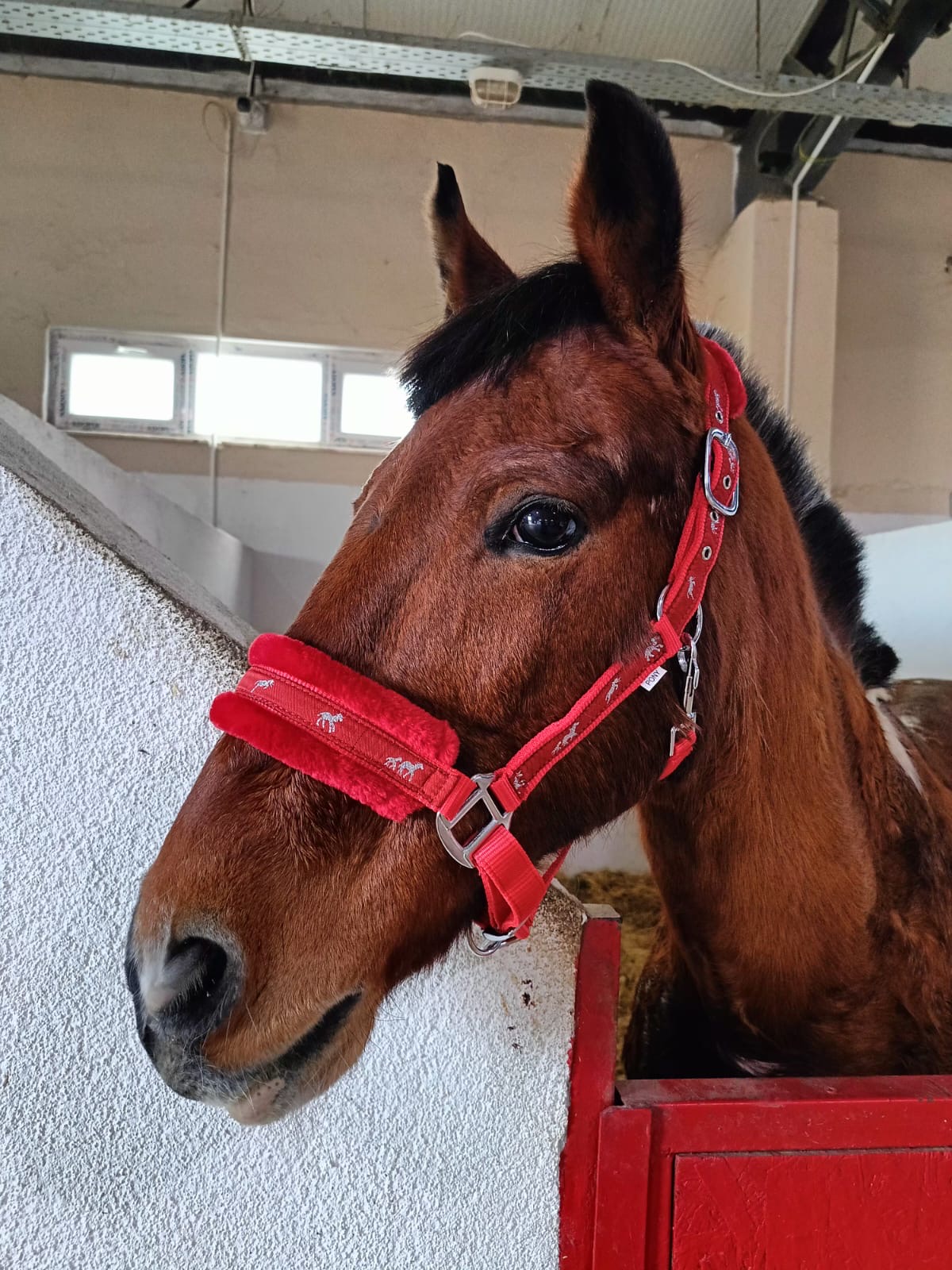Sincan Çocuk Kapalı Ceza İnfaz Kurumu Yöneticileri Merkezimizi Ziyaret Etti
