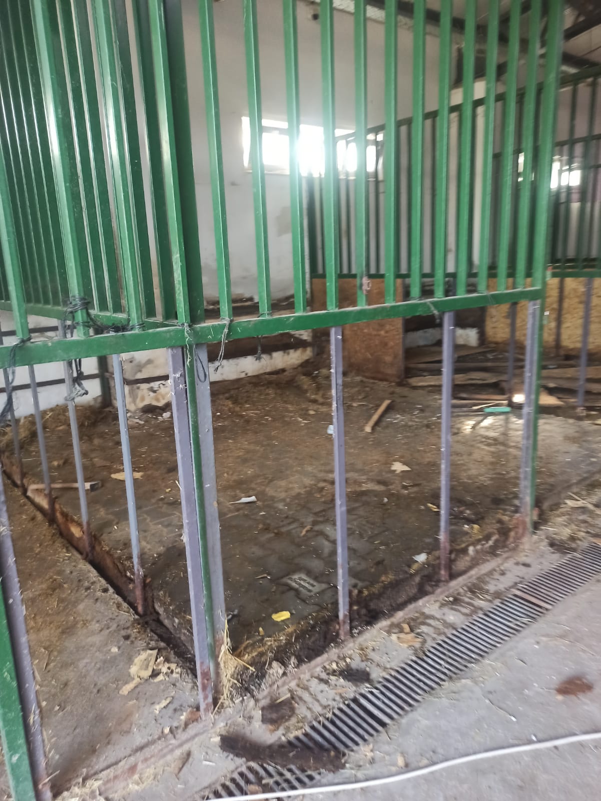 ATLARIMIZIN KALACAĞI YERLERİN İKİNCİ ETAP TADİLATI BAŞLADI