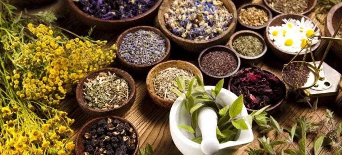 Fitoterapi Uygulamaları