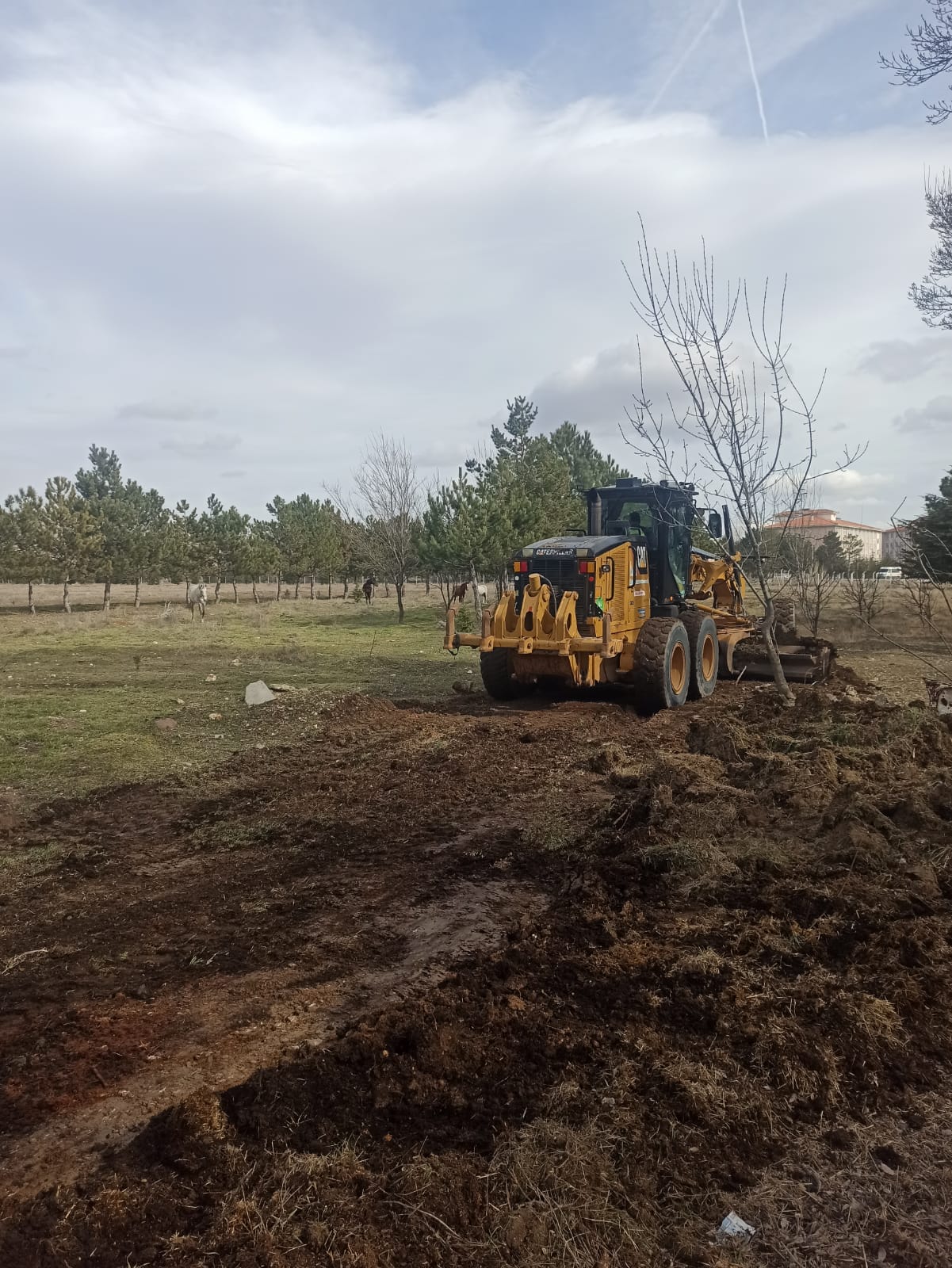 ATLARIMIZIN SAĞLIĞI İÇİN PADOK ALANLARI ZEMİN BAKIMI YAPILDI