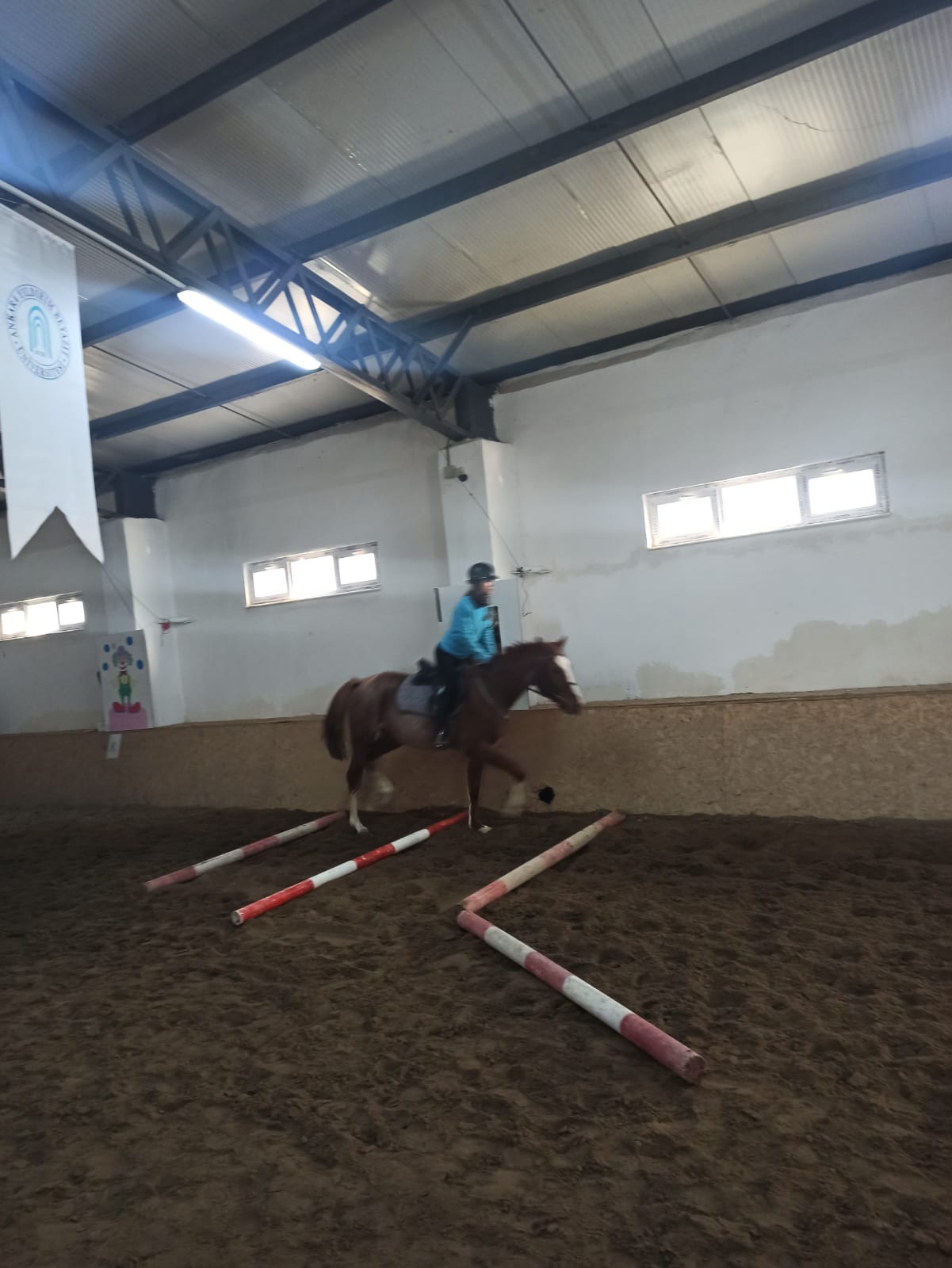 ÖĞRENCİLERİMİZ BEYAZIT İSİMLİ ATIMIZLA EĞİTİMDE