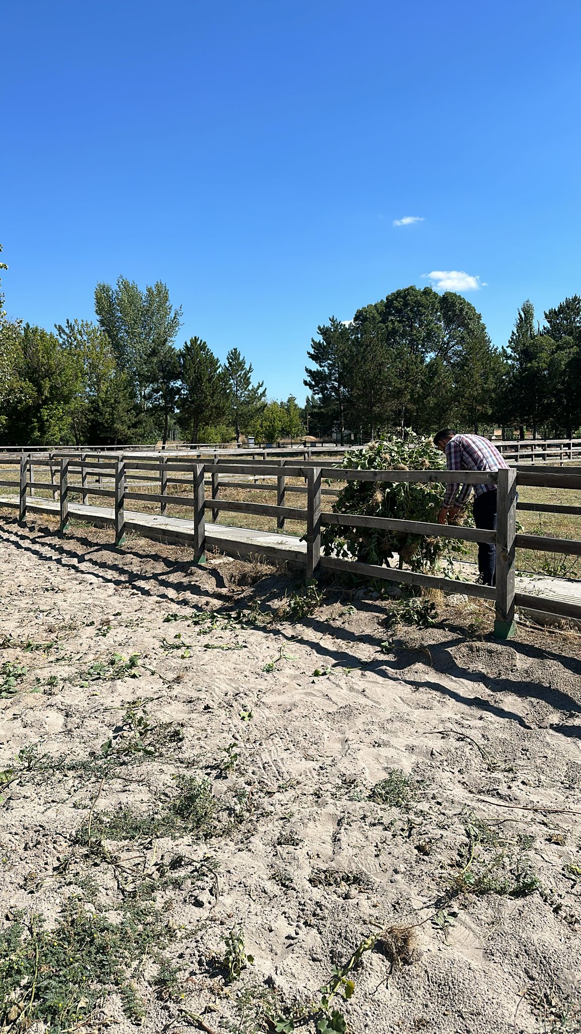 Merkez Ot Temizliği Yapıldı