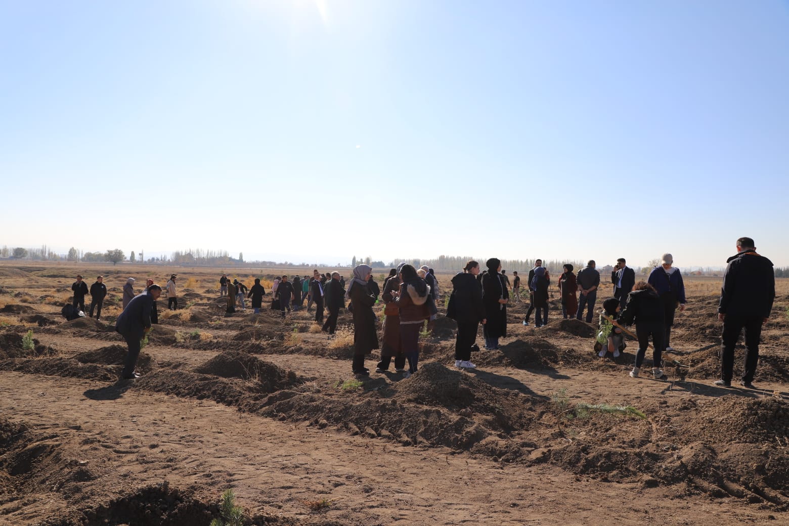 Tree Planting Activity was organized at AYBU Esenboğa Campus on November 11, National Afforestation Day