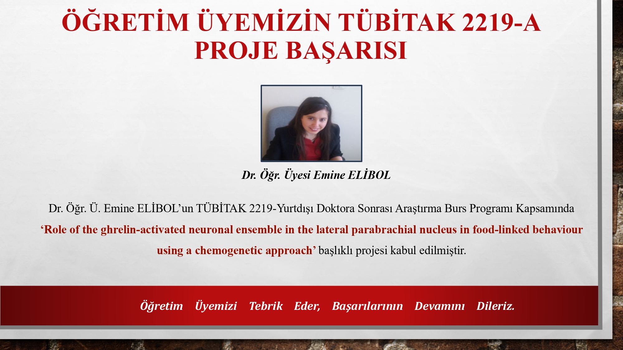ÖĞRETİM ÜYEMİZİN TÜBİTAK 2219-A PROJE BAŞARISI!