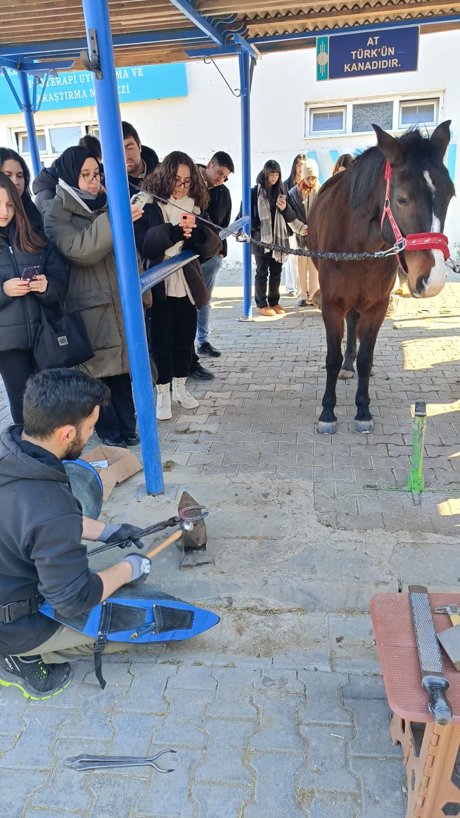 Mezun Öğrencimizden Nal Çakım Uygulaması