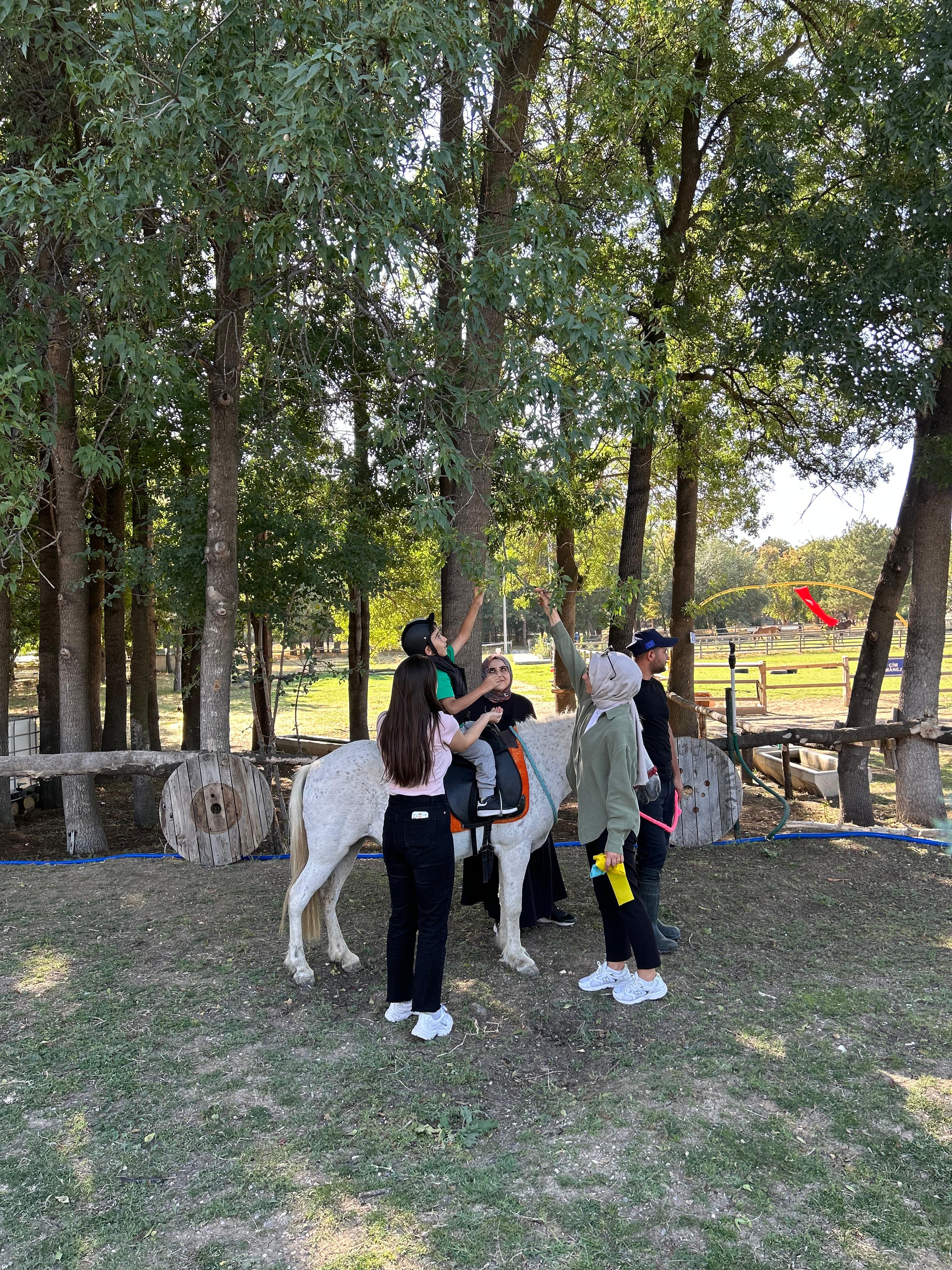 Hippoterapi Seanslarımız Özel Gereksinimli Bireylerimizle Hedefe Yönelik Aktivitelerle Devam Ediyor