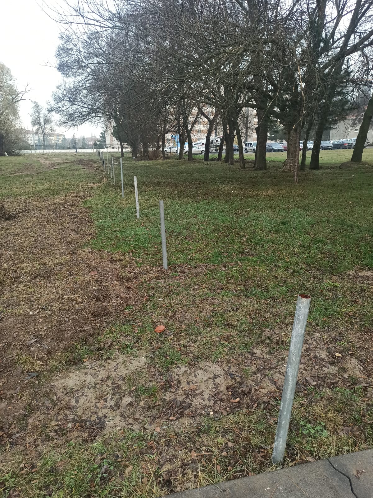 ATLARIMIZIN REFAHI İÇİN PADOK ÇALIŞMASI BAŞLATILDI