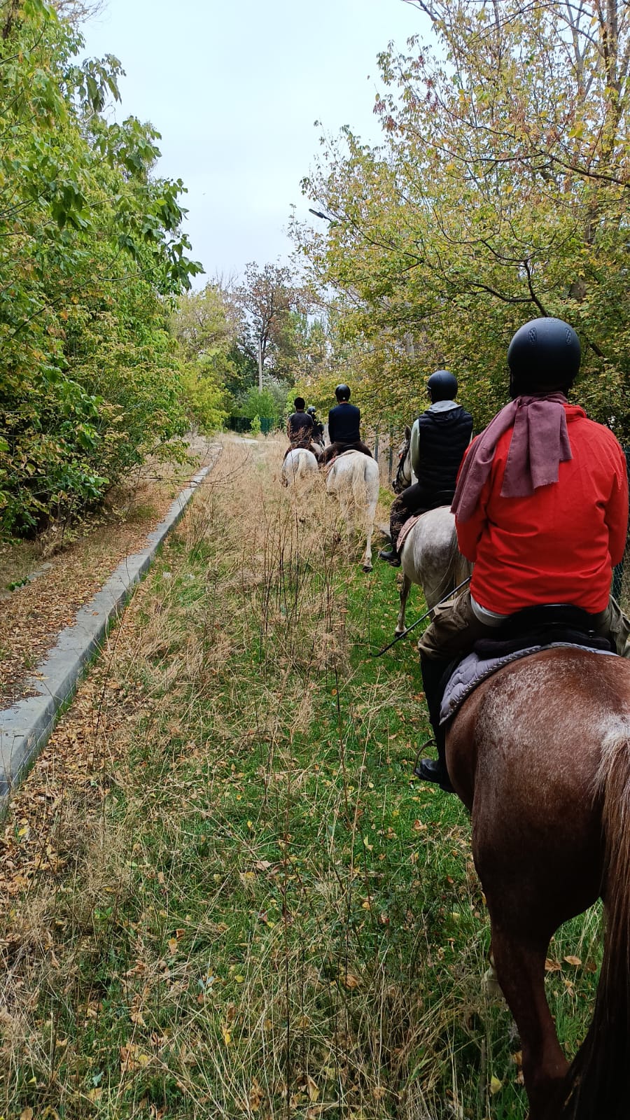 Atçılık ve Antrenörlüğü Öğrencilerimiz Arazi Eğitiminde