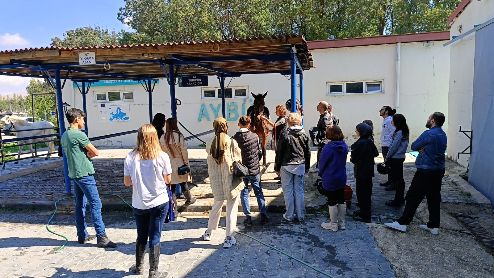 Atçılık ve Antrenörlüğü Programı 1. Sınıf Öğrencilerimiz At Bakımında